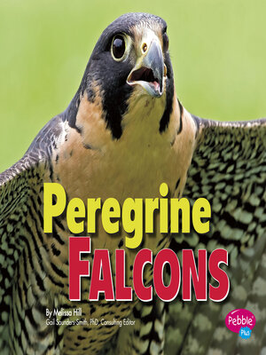 cover image of Peregrine Falcons